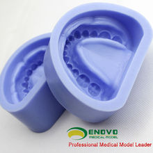 DENTAL17(12597) Silicone Rubber Standard Denture Model for Artificial Dentition Preparation